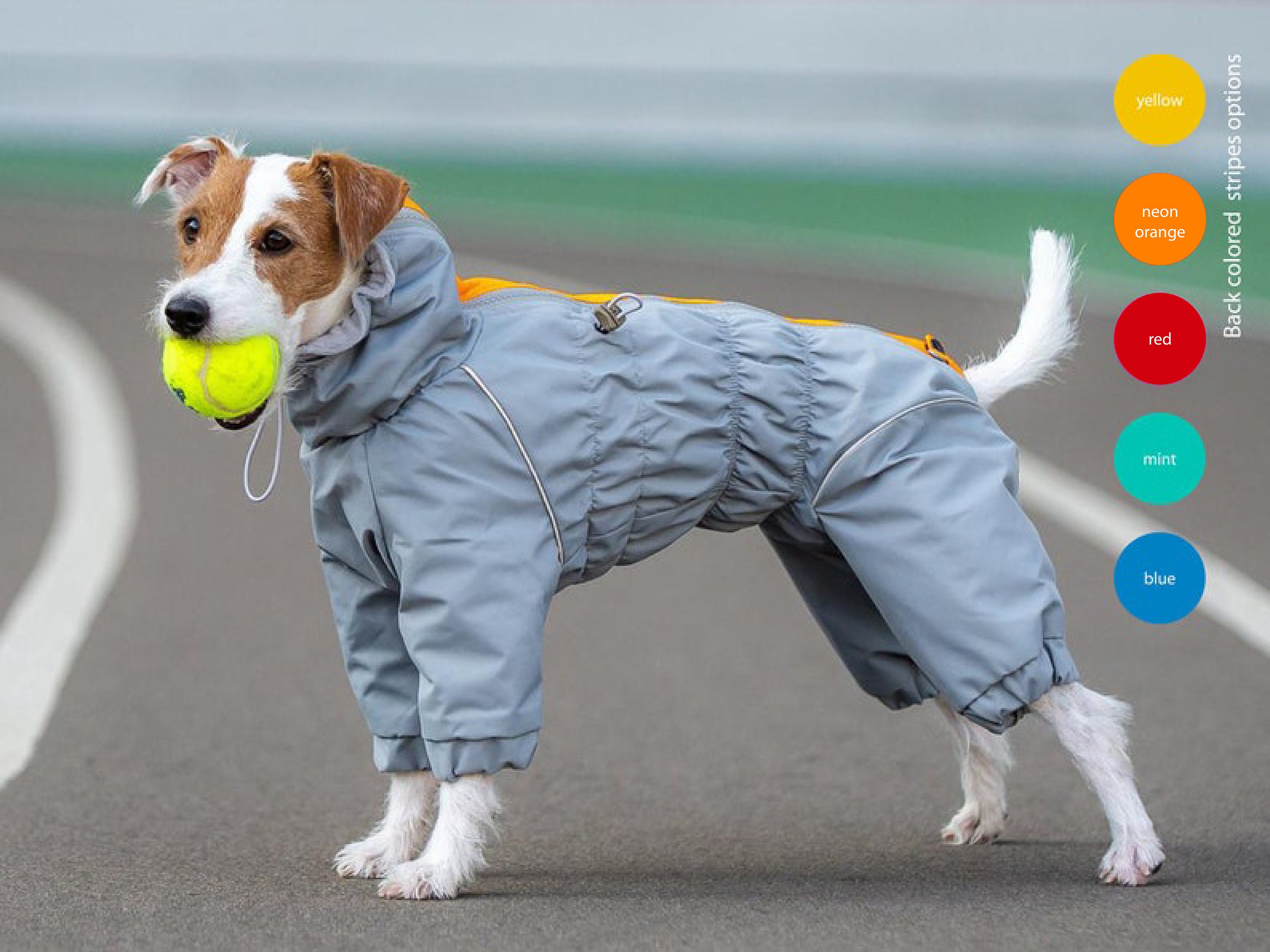 Waterdichte hond regenjas voor alle rassen MEMBRAAN stof - Etsy Nederland