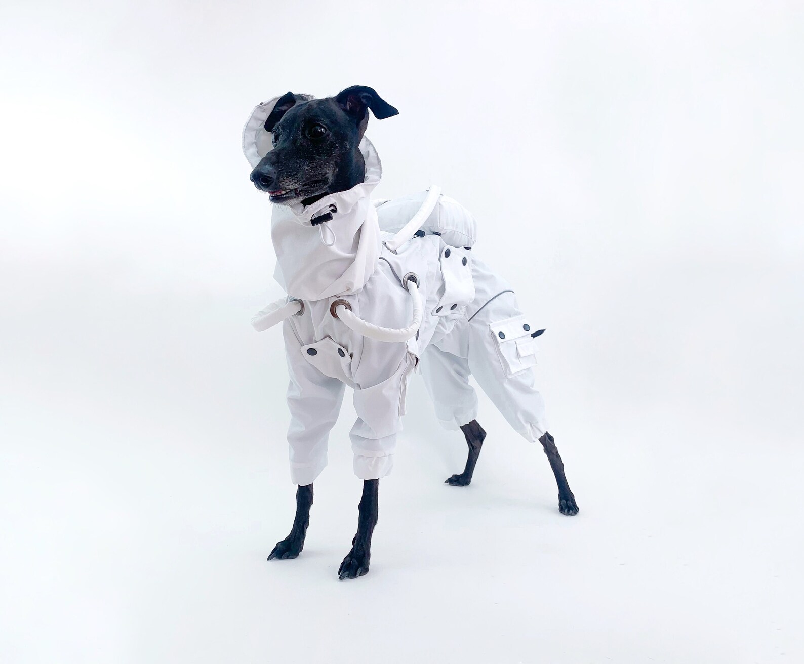 Astronaut Dog Costume Spaceman Halloween Outfit Custom Fit Etsy