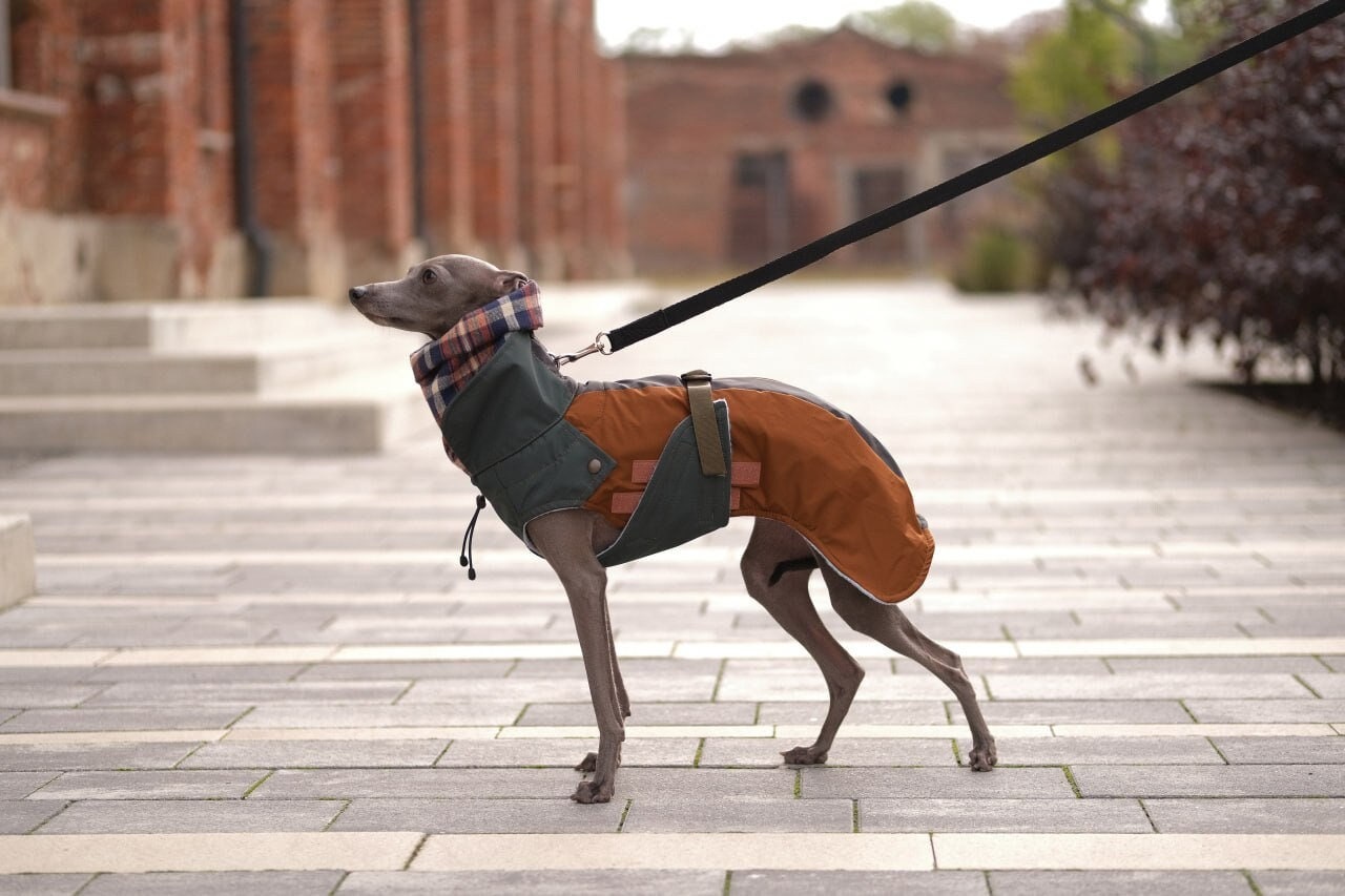 Brown Waterproof Dog Raincoat Dark Academia pour TOUTES les races, doublure  en flanelle, veste de pluie pour chien, manteau de chien imperméable à  leau, vêtements pour chiensBark&Go -  Canada