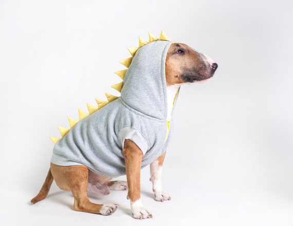 Dragon Dog Hoody Jersey Dog Top Colorful Hoody Ribbons - Etsy