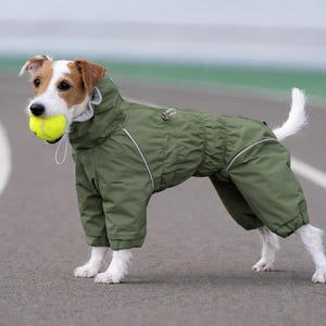 Imperméable pour chien : combinaison intégrale avec membrane, coupe personnalisée