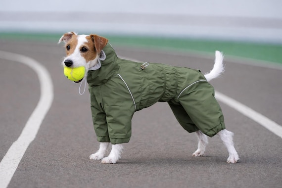 防水犬用レインコート：全身防水メンブレンスーツ、カスタムフィット