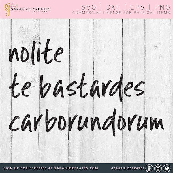 Nolite Te Bastardes Carborundorum Wall SVG - Handmaid's Tale SVG - Don't Let The Bastards Grind You Down Svg - Handmaids Tale Png Dxf Eps