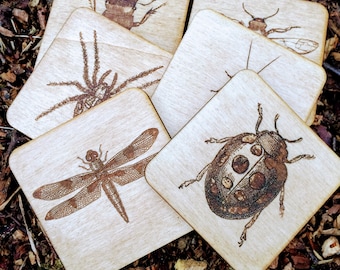 Set of 6 Wooden Bug Coasters - Engraved study of insect on wood coaster housewarming new home gift nature lover