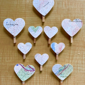 Ordnance Survey Mini Wooden Pegs (x10)