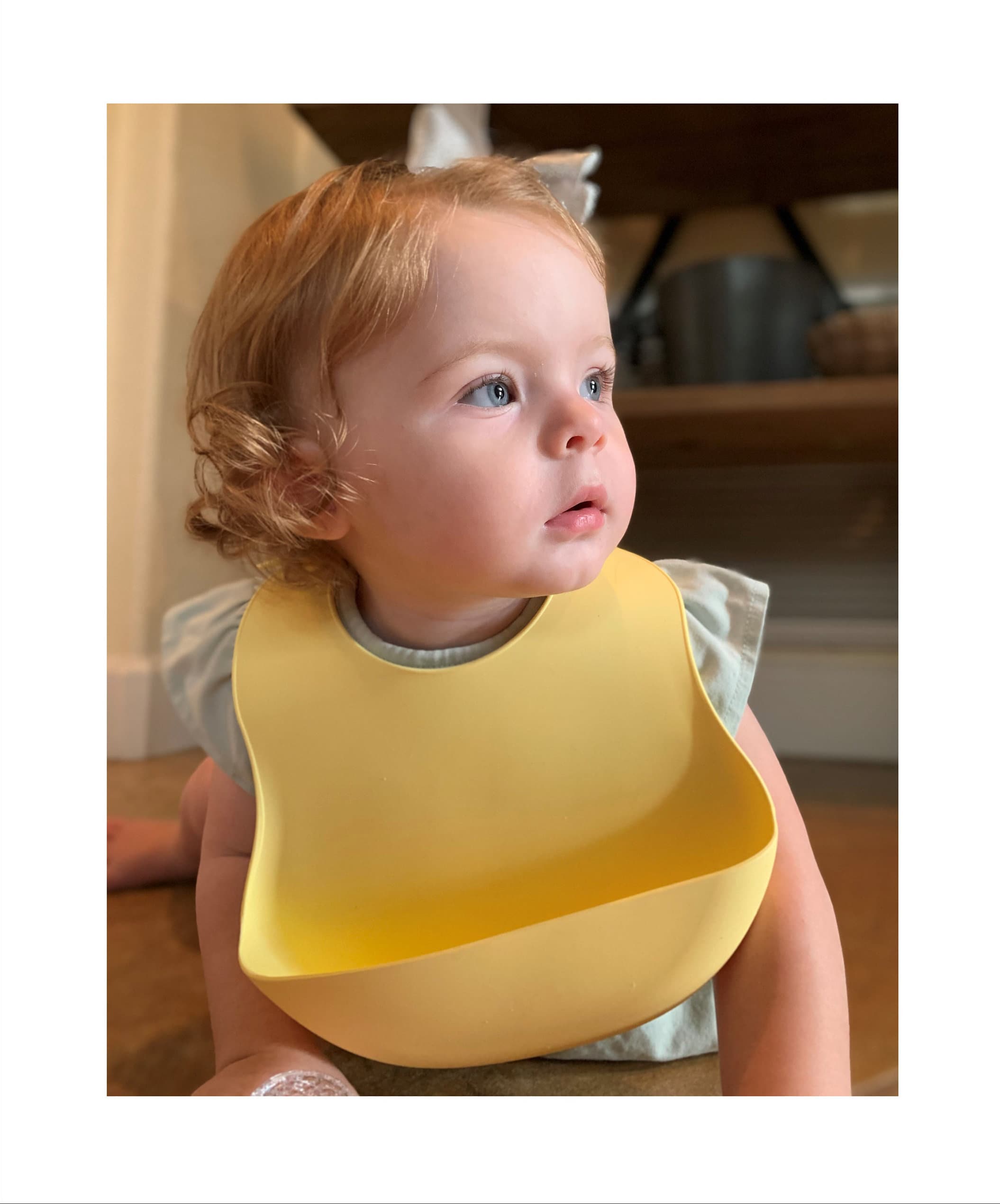 Food Grade Silicone Baby Bibs with Food Catcher Pocket Waterproof Adjustable Soft Foldable Toddler Bib