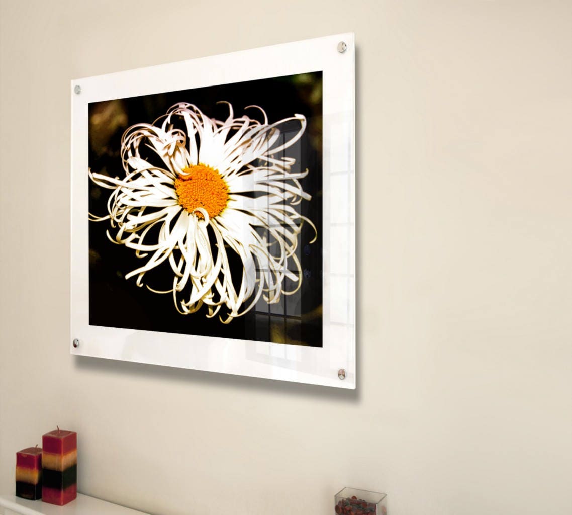 Floating picture photo frame 12 x 16 / 30 x 40 cm / A3 /16x12 pixi