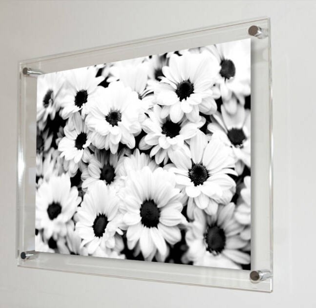 All Colours Acrylic Wall Mount Picture Photo Frame With Black All Colours Acrylic Wall Mount Picture Photo Frame With Black White Daisy Image 12 X 8 16 24 Made In Uk High Gloss