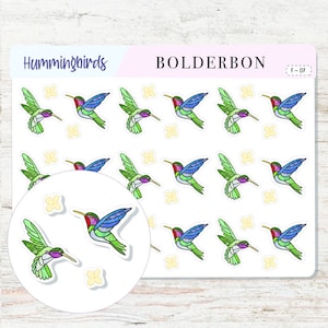Adesivi HUMMINGBIRD // Adesivi pianificatore, Disegnato a mano, Primavera, Estate, Mangiatoia per uccelli, Promemoria, Funzionale