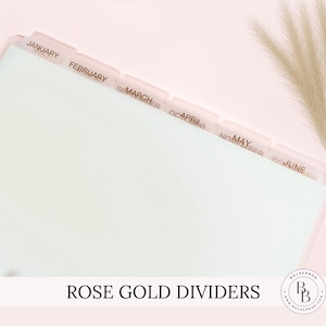 HALF LETTER DISC Dividers || 12 Monthly Side Tabs, Rose Gold Foil, 8 Disc Punch, Clear, Transparent Frost, Disc Bound
