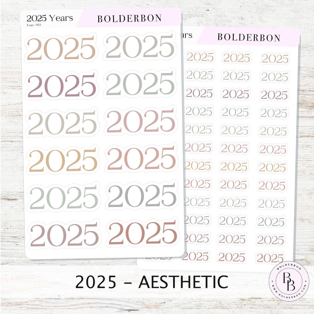2025 YEAR AESTHETIC Script Planner Stickers - Etsy