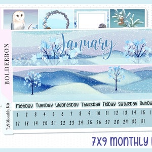 Kit de pegatinas mensuales de enero 7x9 // Erin Condren, Recuerdos, Pegatinas para planificador, Invierno, Nieve, Búho