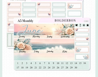 JUNE A5 MONTHLY KIT || Planner Stickers for Erin Condren