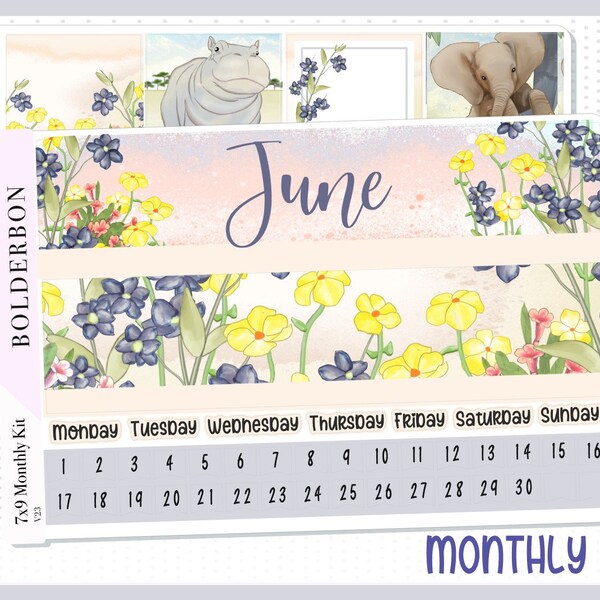 JUNE Monthly Sticker Kit || 7x9 Erin Condren Planner Stickers, Nature, Floral, Elephant, Safari