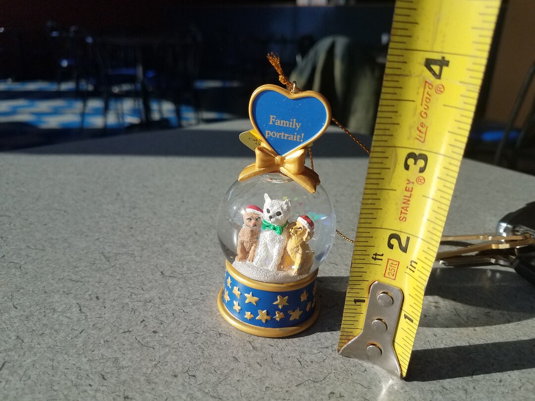 Danbury Mint Cat Snow Globe Christmas Ornament Family Portrait Etsy