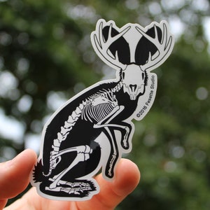 Jackalope Sticker