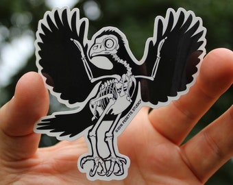 May include: Black and white sticker of a bird skeleton with its wings spread. The sticker is on a hand against a blurred green background. The text "©2018 FESETTE STUDIO" is at the bottom of the sticker.