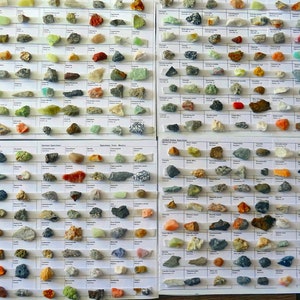 Puede incluir: Una colección de diversas muestras de minerales, cada una exhibida en una cuadrícula con etiquetas. Los minerales varían en color, incluyendo verde, rojo, naranja y gris. La disposición es organizada y educativa, mostrando una diversa gama de muestras geológicas.