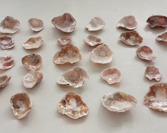 30 Pink Jingle Sea Shells for Jewelry making Wedding Decoration Creative Projects Beach Fairy Decor Mosaic Art from Oporto Portugal