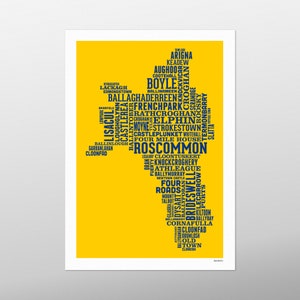 County Roscommon-typekaart