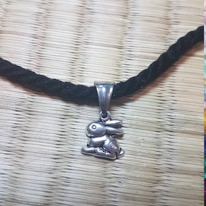 May include: A silver rabbit charm pendant on a black cord necklace.