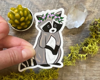 Raccoon Sticker