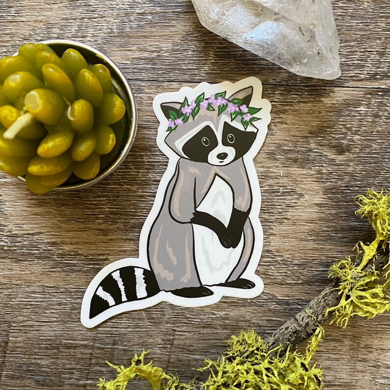 Raccoon Sticker image 2