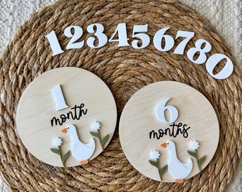 Goose  Monthly Milestone Markers | Baby  Wooden Milestone Discs | Baby Shower Gift