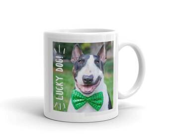 St Patrick's Lucky Dog
