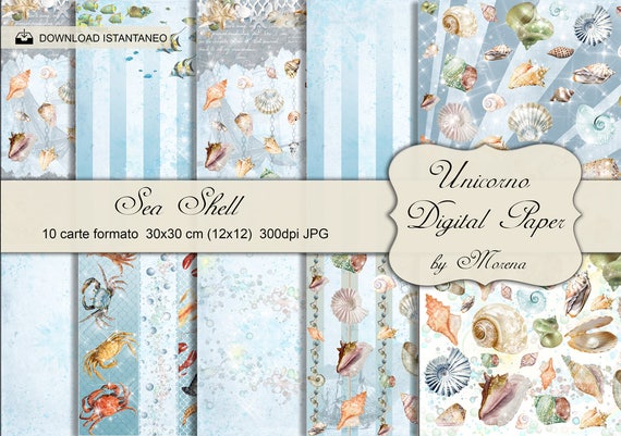 SEA SHELL, Carta digitale,Mare, Carte per scrapbook, Oceano, conchiglie, Sfondi, nautica, Vecchie carte, crostacei, shellfish, vintage