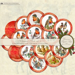 CHRISTMAS BIRDS VOL. 1 , Tondi Natalizi Stampabili decorati su fondo avorio e rosso scozzese