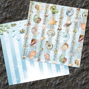 SNÄCKSÅL, Digitalt Papper, Hav, Scrapbook Papper, Ocean, Snäckskal, Bakgrunder, Nautisk, Gamla Papper, Kräftdjur, Skaldjur, Vintage bild 4