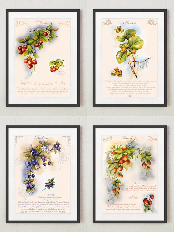 Stampe per cucina, Quadri cucina, Stampe con frutta, Stampe Botaniche,  Stampe Murali, Poster frutta, Stampe digitali -  Italia