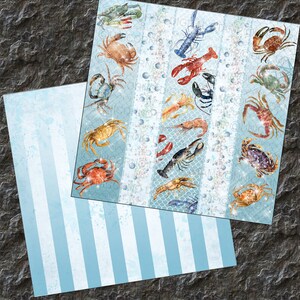 SNÄCKSÅL, Digitalt Papper, Hav, Scrapbook Papper, Ocean, Snäckskal, Bakgrunder, Nautisk, Gamla Papper, Kräftdjur, Skaldjur, Vintage bild 5
