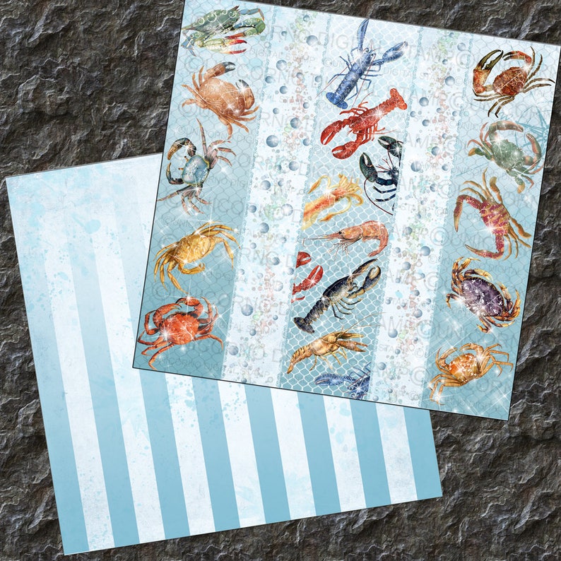 SNÄCKSÅL, Digitalt Papper, Hav, Scrapbook Papper, Ocean, Snäckskal, Bakgrunder, Nautisk, Gamla Papper, Kräftdjur, Skaldjur, Vintage bild 5
