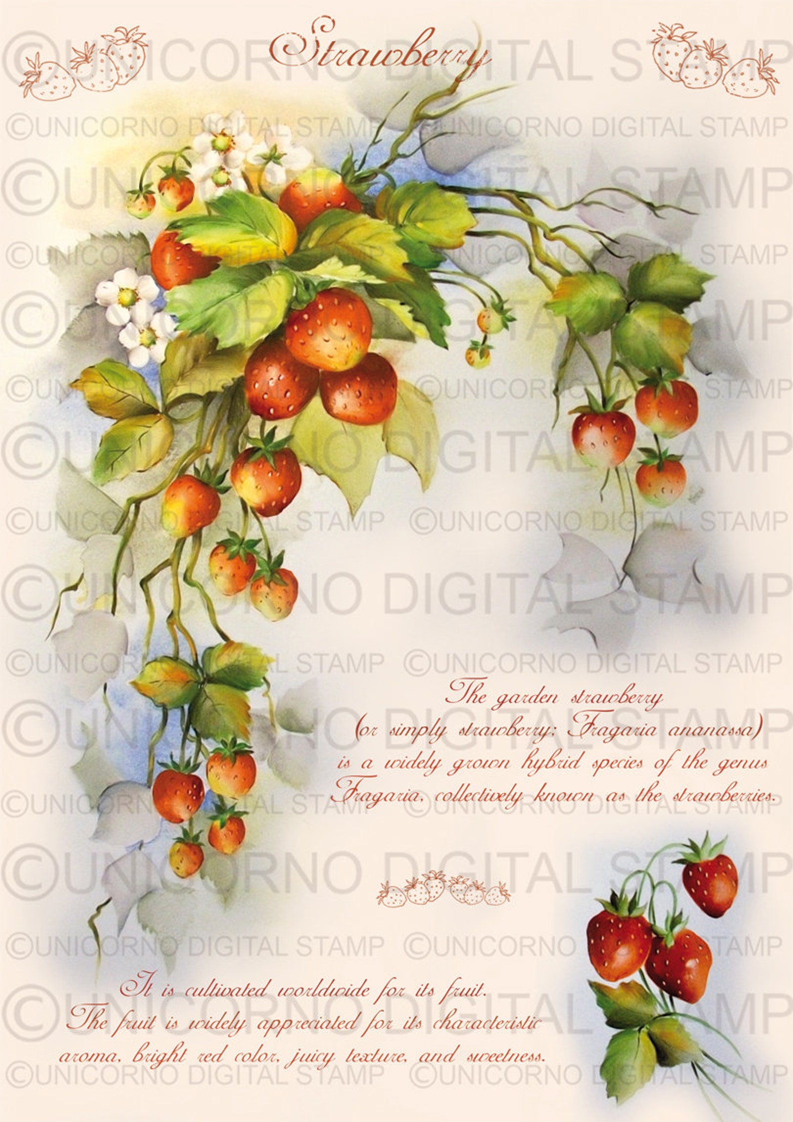 quadri per cucina con frutta