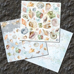 SNÄCKSÅL, Digitalt Papper, Hav, Scrapbook Papper, Ocean, Snäckskal, Bakgrunder, Nautisk, Gamla Papper, Kräftdjur, Skaldjur, Vintage bild 2