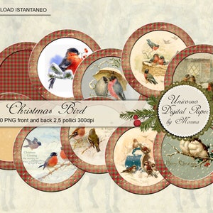 PÁSSAROS DE NATAL VINTAGE, Rodadas de Natal para impressão decoradas em fundo marfim e vermelho