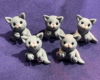 Baby Spring Kittens