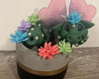 Potted Dragons