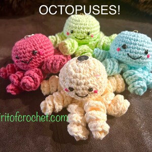 Octopus
