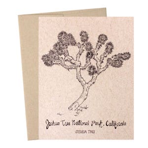 Joshua Tree, Park Narodowy Joshua Tree, Kalifornia, Kolekcja parków narodowych, Papier typu Kraft, Ilustrowane ręcznie, Ilustracje przyrodnicze, Podróże