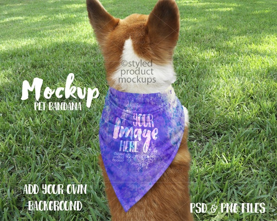 Download Dye Sublimation Pet Bandana Mockup Template Add Your ...