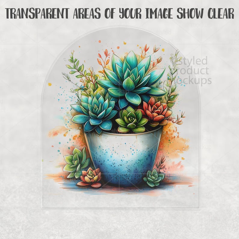 Op de afbeelding: Waterverfillustratie van een blauw-witte gespikkelde pot gevuld met levendige vetplanten. De vetplanten zijn in verschillende tinten groen, blauwgroen en rood. De tekst "TRANSPARENT AREAS OF YOUR IMAGE SHOW CLEAR" staat bovenaan.