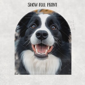 Op de afbeelding: Een close-up van een Border Collie hond met een zwart-witte vacht, bruine ogen en een open mond. De hond lijkt te glimlachen, met zijn roze tong zichtbaar. De tekst "SHOW FULL PRINT" staat bovenaan.