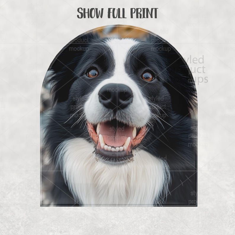 Op de afbeelding: Een close-up van een Border Collie hond met een zwart-witte vacht, bruine ogen en een open mond. De hond lijkt te glimlachen, met zijn roze tong zichtbaar. De tekst "SHOW FULL PRINT" staat bovenaan.