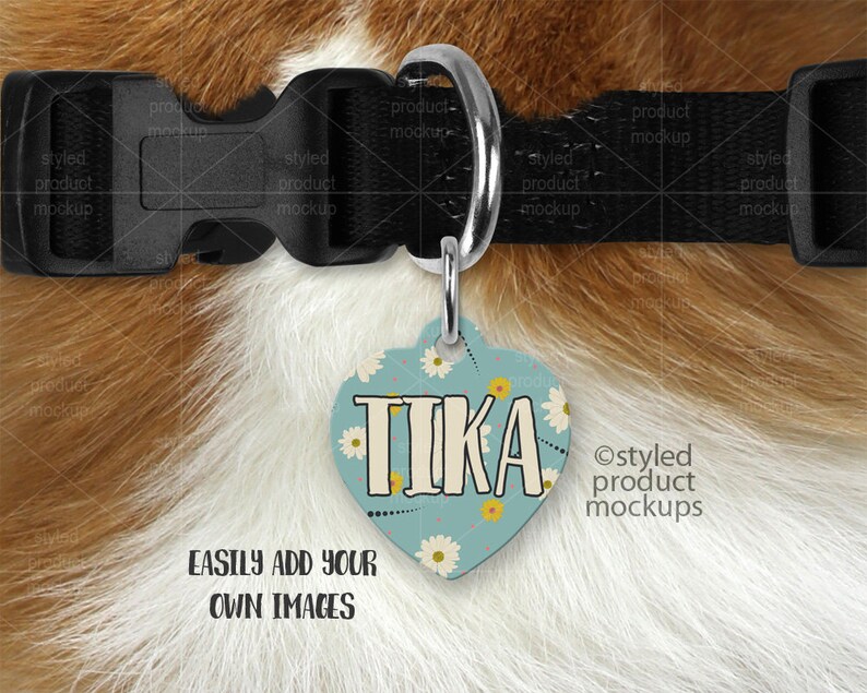 Download Heart shaped pet tag on a dog collar mockup template Add ...