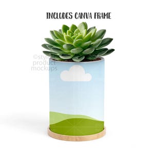 May include: A green succulent plant in a cylindrical planter. The planter has a light blue background with a white cloud and green hills. The text "INCLUDES CANVA FRAME" is at the top.