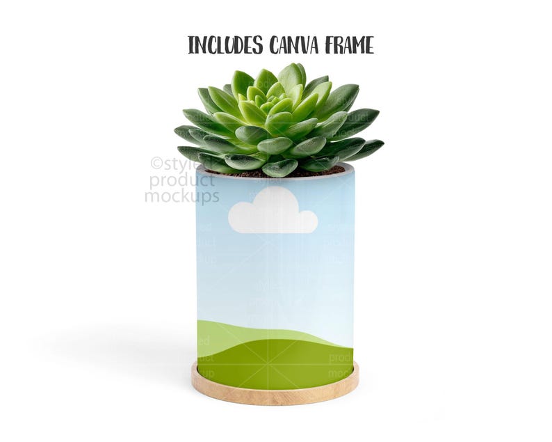 May include: A green succulent plant in a cylindrical planter. The planter has a light blue background with a white cloud and green hills. The text "INCLUDES CANVA FRAME" is at the top.