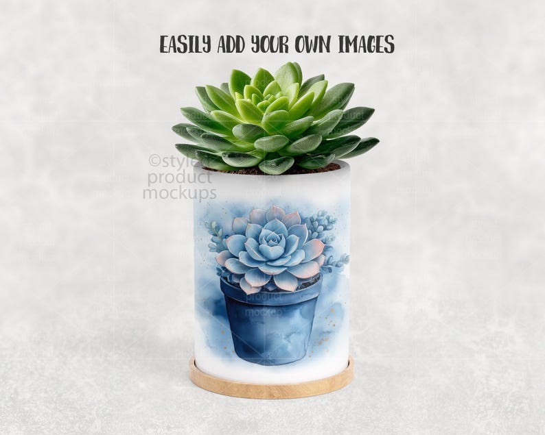 May include: A cylindrical white planter with a watercolor design of a blue succulent in a blue pot. The planter sits on a round, light brown wooden base. A live green succulent plant sits atop the planter. Text at the top reads: EASILY ADD YOUR OWN IMAGES.